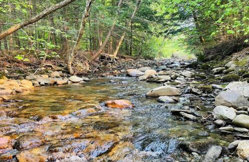 Jeffersonville House | Geodome 1min to Smuggler's Notch with hot tub & River