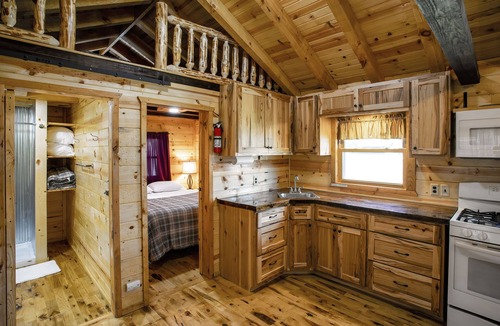 Buffalo City Cabin | Great River Road Cabin on the Mississippi Backwaters Eagle Cabin