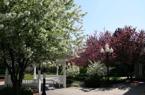 Burlington Hotel | Hampton Inn Burlington - Colchester