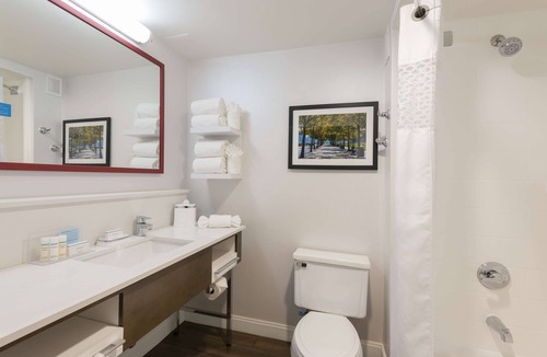 Florence Hotel | Hampton Inn Cincinnati Airport South