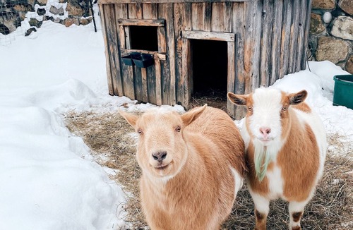 Manchester Center House | Historic Renovated Barn at Boorn Brook Farm - Manchester Vermont