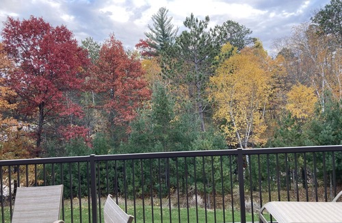 Crosslake House | Ideal location in Crosslake on the Whitefish Chain! Sleeps 12 with indoor pool!
