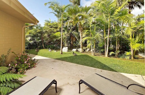 Central Mission Beach Hostel | Ideal Mix of Comfort and Value! 3 Garden View Units, Free Parking, Outdoor Pool