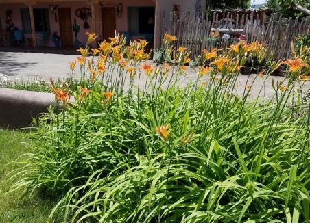 Taos Bed & Breakfast | Inn on the Rio