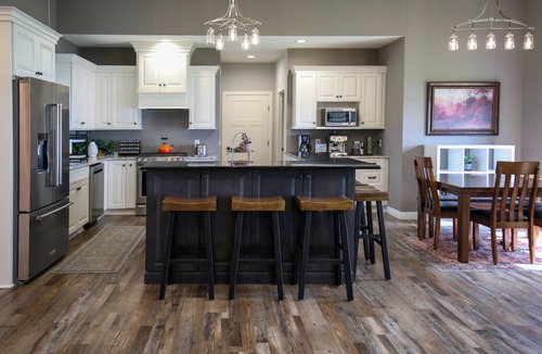Cannon Falls House | LAKE ACCESS HOME with BREATHTAKING VIEWS of RIVER and Wildlife - SLEEPS 6