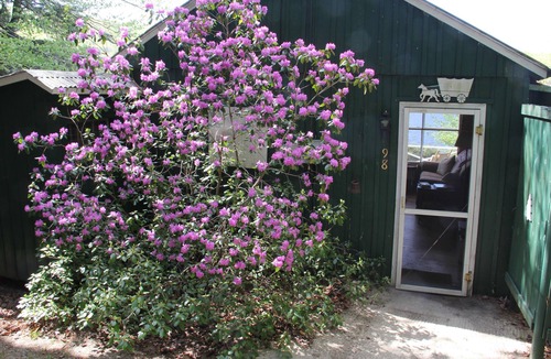 Windsor Cottage | Lakefront Cottage in a Quiet, Beautiful Location