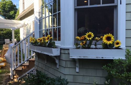 Hillcrest House | LOCATION! LOCATION! LOCATION! Elegant Acorn Cottage Awaits!