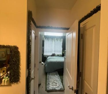 Storrs Apartment | Luxury Apartment UConn