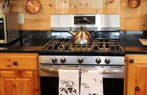 Minong Cabin | Luxury North Woods Lake Home in Minong, WI