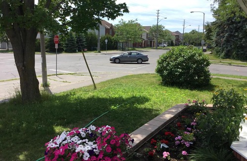 Ottawa Division Bed & Breakfast | Mac B&B