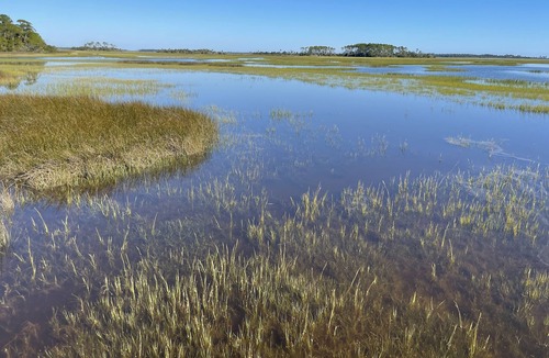 St. Augustine Cabin | Marsh Front Retreat - Intercoastal Waterway access