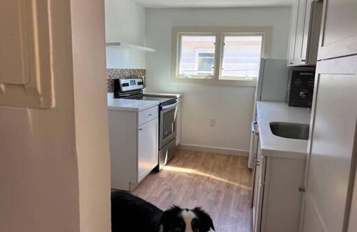Old North End Apartment | Modern Downtown Flat- Near Church Street, Parking!