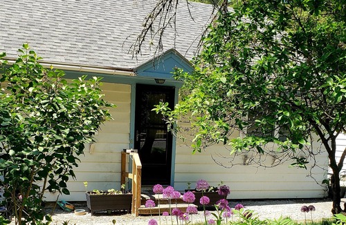 Montpelier House | Montpelier 3 bedroom house located on Terrace St a 5 min walk to downtown.