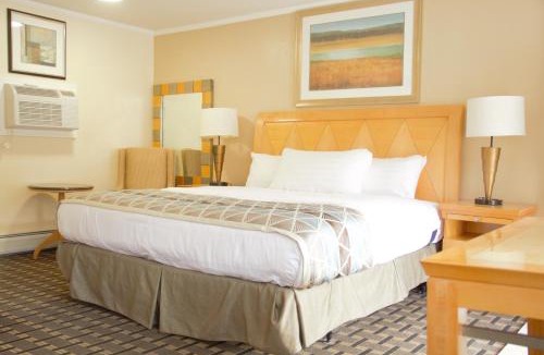 Adams Hotel | Mount Royal Inn