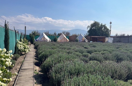 Texcoco de Mora RV Rental | Natural Romance in Glamping Rincón de Lavanda