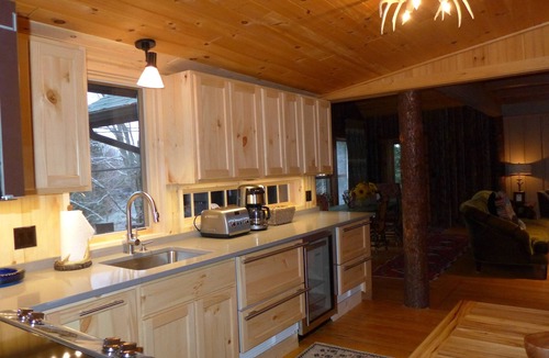Lake Placid Cabin | Nature at it's Best! Cozy Cabin with Old World Charm! Pets are considered.