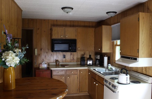 Pine River Cabin | Northwoods Hideaway near Whitefish Chain of Lakes