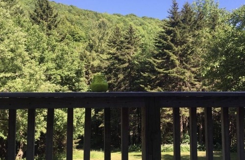 Braintree Cabin | Off Grid Cabin