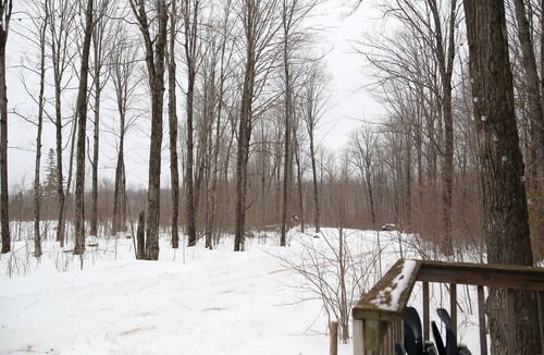 Westboro Cabin | Off grid solar a-frame cabin Northwoods Farm Stay Hundreds of Acres to Explore