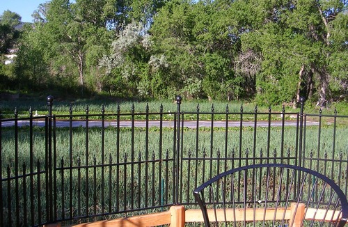 Embudo House | Old-World Charm: The Tower Guest House on Small Working Organic Garlic Farm