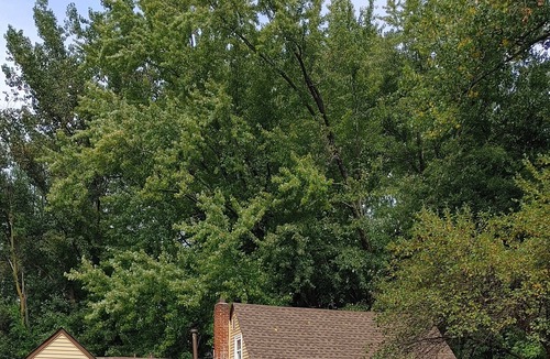 Vadnais Heights House | Perfect Cottage Style House- surrounded by nature, parks and trails.