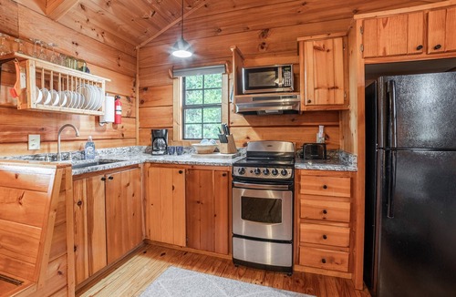Hot Springs Cabin | Pet-Friendly Mountain Log Cabin for Couples