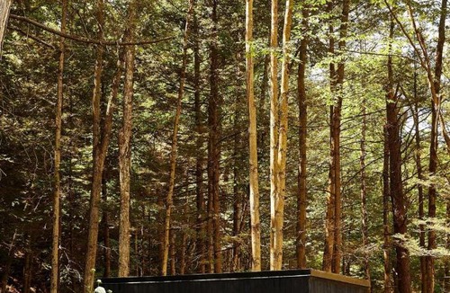Catskill Other | Postcard Cabins Eastern Catskills, Outdoor Collection by Marriott Bonvoy