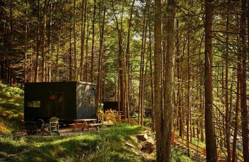 Kettle River Other | Postcard Cabins Kettle River, Outdoor Collection by Marriott Bonvoy