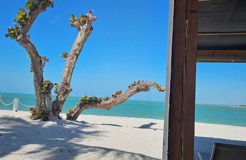 North Captiva House | Private BEACHFRONT Point - Dolphins, Sunsets & Golf Cart Included/North Captiva!