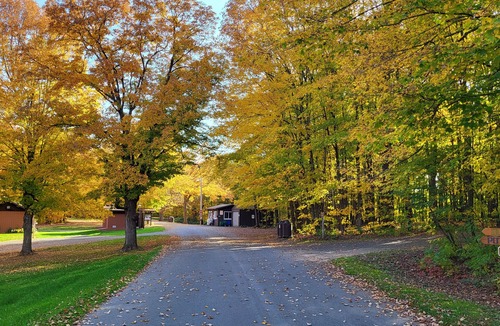 Glenwood City Cabin | Quaint 1-bedroom camper cabin in County Park!