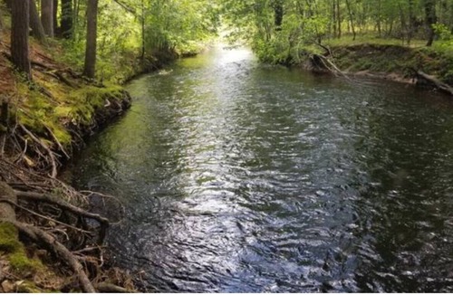 Willard House | Quiet cabin with numerous recreational activities