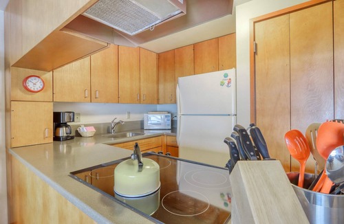 Overlook Park Condo | Retro, Dog-Friendly Condo with Fireplace, Wi-Fi, & SHARC Access
