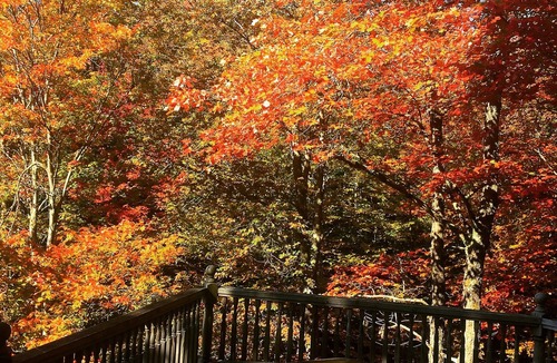 Johnson House | Romantic, adult getaway near Stowe & Smugglers, private trails , hot tub