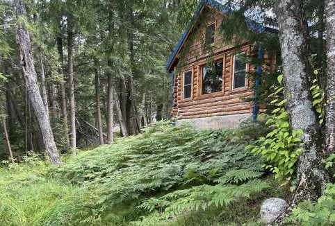 Mountain House | Rustic and Luxurious Retreat With Private Dock, Yard, Fire Pit! cabin