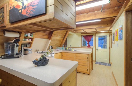 North Douglas Cabin | Rustic Douglas Island A-frame Cabin in the woods