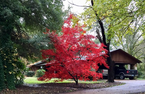Grenada House | Rustic log cabin with 5 beds in a private setting, minutes Grenada Lake & town.