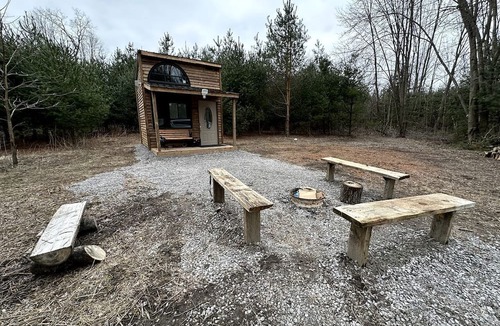 Langton Cabin | Rustic Tiny Home Surrounded by Nature and Forest Trails in Simcoe, Canada