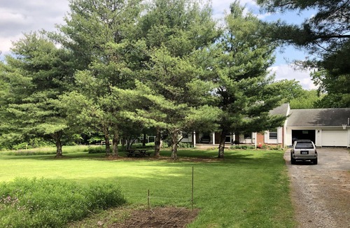 Norfolk House | Secluded Great family house, dogs welcome, nigerian dwarf goats
