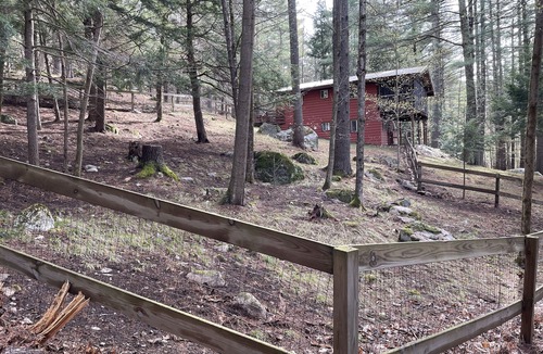 Keene House | Secluded house with enclosed dog yard on 200 acre family estate