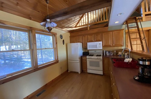 Roxbury Cabin | Secluded retreat in the trees
