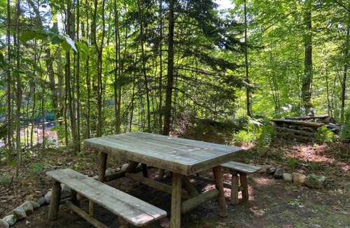 Hopkinton Cabin | Secluded River Overlook Cabin on 160 acres