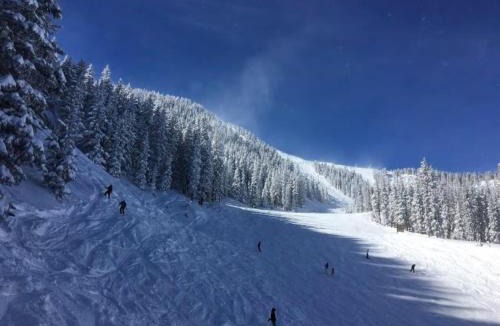 Taos Ski Valley House | Snow Bear Breckenridge 4