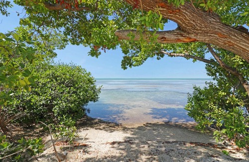 Big Pine Key Resort | Sunshine Key Travel Trailer 11