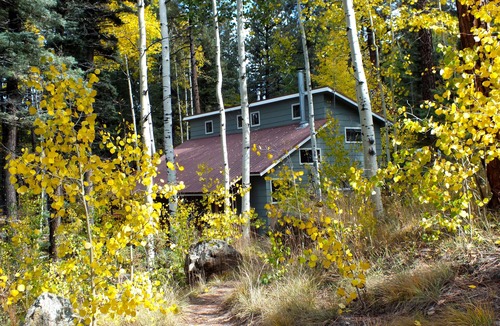 Jemez Springs House | The Alpaca Barnhaus in the Jemez Mountains-Quiet & Comfortable at 8700'