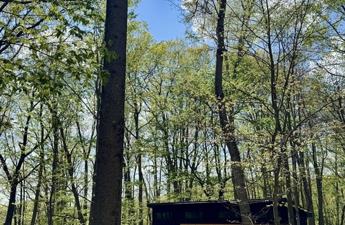 Rockbridge House | The Birch Tiny House at Cyprus Trail