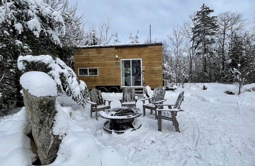 Dorchester Apartment | Trailside Stays - Tiny House in the Woods-Escape to Nature. Cardinal