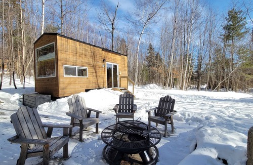 Dorchester Apartment | Trailside Stays - Tiny House in the Woods-Escape to Nature. Cardinal
