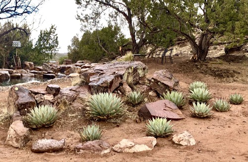Cerrillos Cottage | Tranquil 4-bedroom retreat, tucked in Cerrillos.