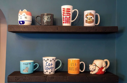 Northeast Minneapolis House | Ultimate Pet Friendly Stay - Paws & Relax Retreat
