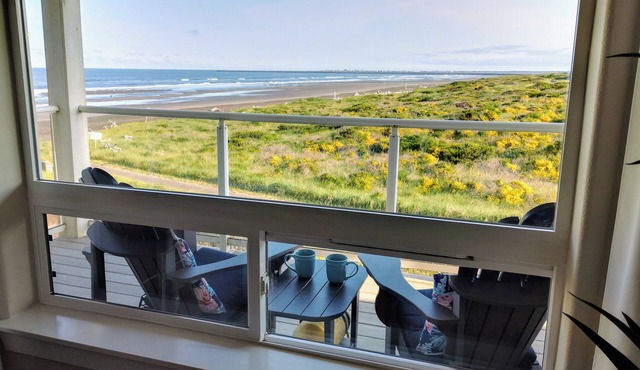 932 Pawfect Beachy Vibes - Incredible Ocean view